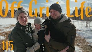 Living in Northern Sweden is DARK | The Return of the SUN