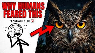 Why Did Ancient Humans Fear Owls ? Why Ancient Humans Were Terrified Of Owls The Science Will Shock You