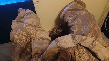 a rather large module dump