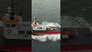 #celebritycruises #silhouettex pilot boat at Sidney NC for arrival to port