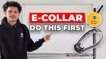 Do These 5 Things BEFORE Using an E-Collar