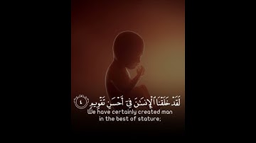 #سعد_الغامدي #سورة_التين