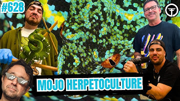 BIG Difference Breeding Green Tree Pythons vs Northern Emerald Tree Boas | All In The Trees Live