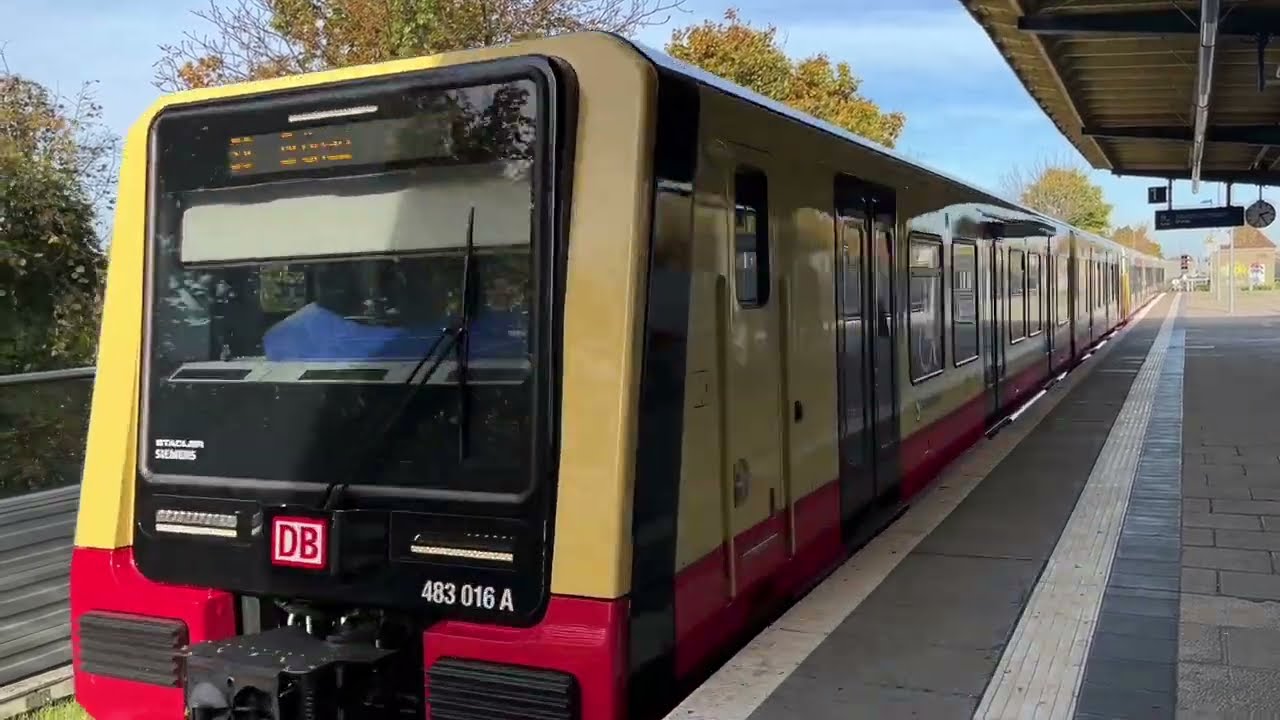 Mitfahrt von Blankenburg bis Schönhauser Allee (S8, BR483/484)