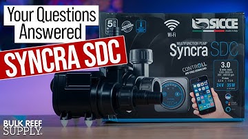 Control With Apex or Native App? Sicce Syncra SDC Submersible Aquarium Pumps!