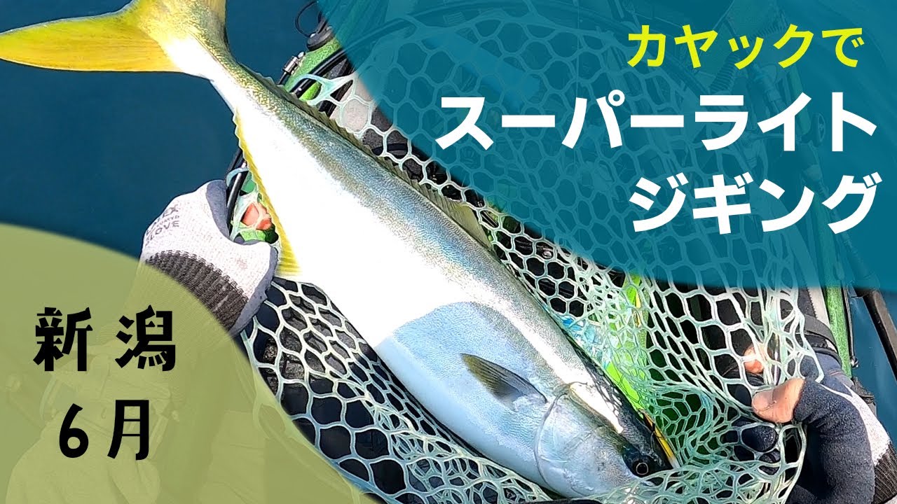 【カヤックフィッシング】ライトなタックルでワラサ（メジロ）と格闘＊in新潟【SLJ】日本海