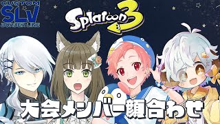 【スプラ3/カスタム】SLVCUSTOM　大会顔合わせコラボ #SLVCUSOM【Vtuber/星羊おメガ】