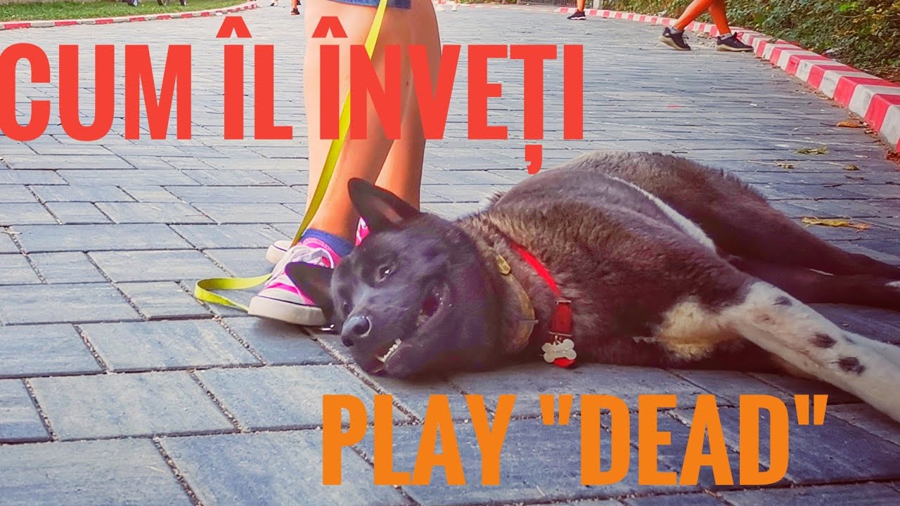 Cătălin Cornea prezintă: Poziția 