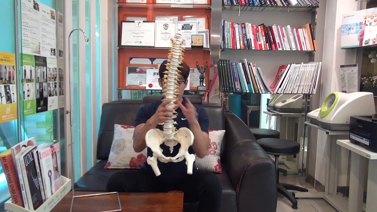 틀어진 골반 교정 운동법1탄 (이론편)