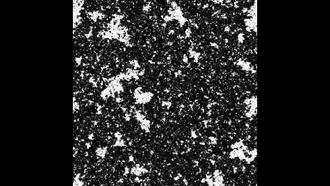 Ising model at temperature 0.01 below Tc
