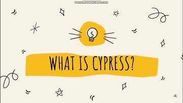 Login Test using Cypress