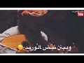 نظراتك وسلهامك وسط روحي سكن وبين نبض الوريد