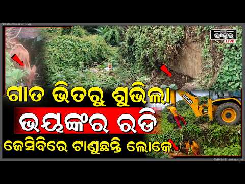 ଘାସ ଖାଉ ଖାଉ ଗଭୀର ଗାତ ଭିତରେ ଫସିଯାଇଥିଲେ ଗୋମାତା, ଭୟଙ୍କର ରଡି ଶୁଣି ଦୌଡ଼ି ଆସି ଉଦ୍ଧାର କଲେ ଲୋକେ