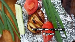 КАРТОШКА-ГАРМОШКА В УГЛЯХ #рецепты #готовимнакостре #рекомендации