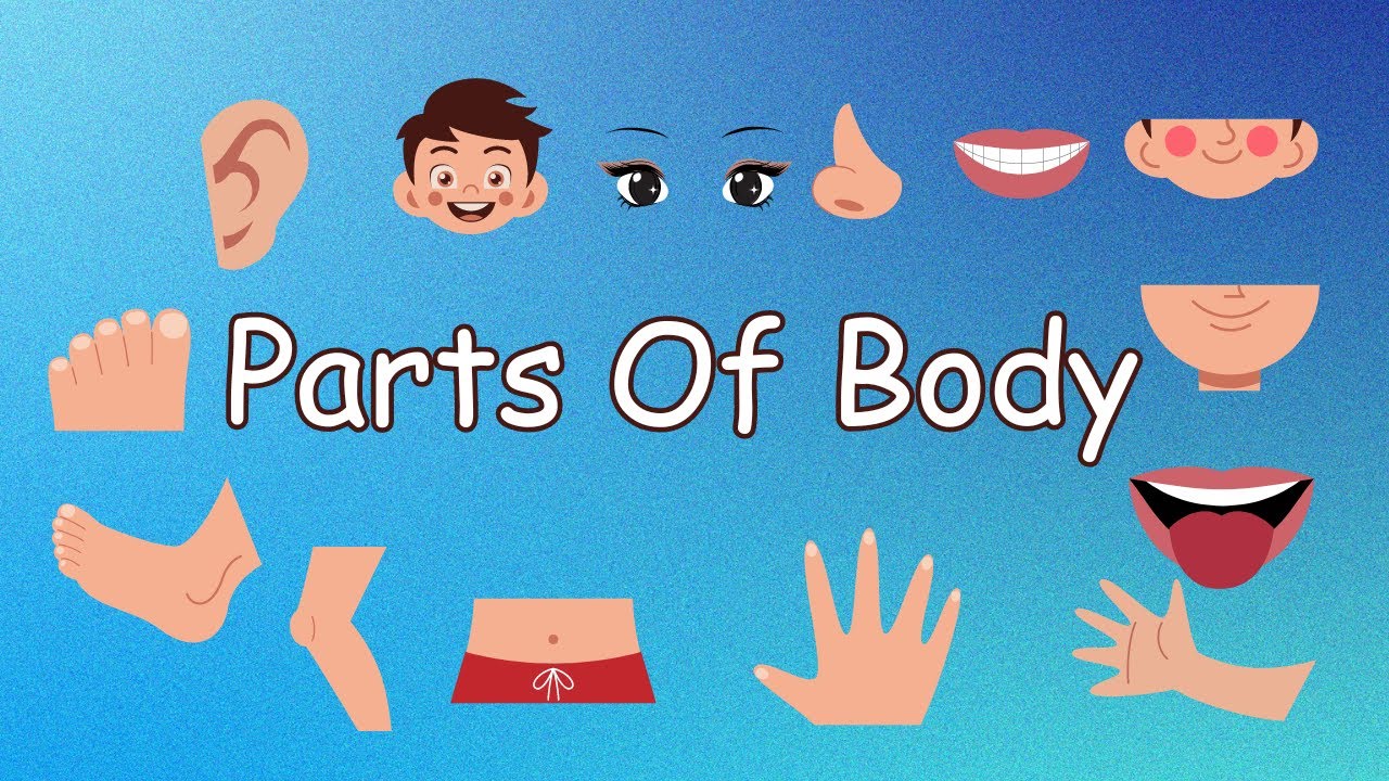 Body Parts Name Learn Body Parts Body Parts Name For Kids Body pin-on-body-parts-for-kids