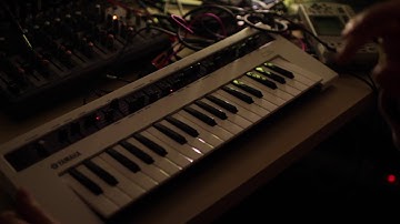 Reface CS Looper Doodle