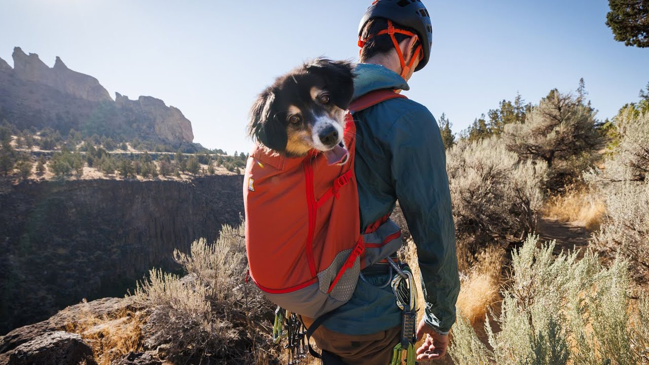 Ruffwear Hitch Hiker™ Dog Backpack - YouTube
