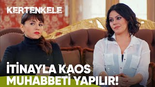 Mikser Yenge Yine Iş Başında - Kertenkele 17. Bölüm