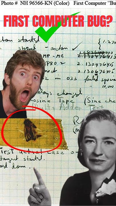Meet the First Computer Bug: The Insect That Changed Tech Forever ...