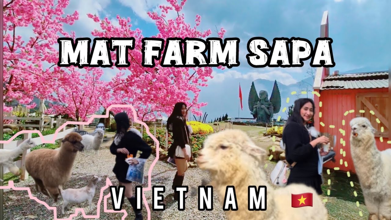 Hinabol ako ng Alpaca sa Mat Farm Sapa Vietnam 2026 #vietnam 