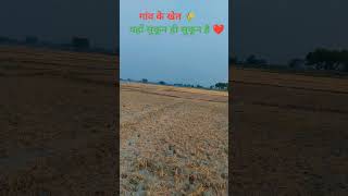 Village Farm View 🌾 | Peaceful Life Short Video
