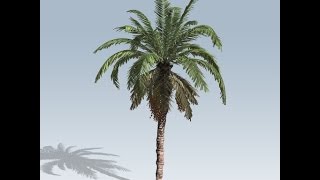 Date_Palm Test (Real-Time)