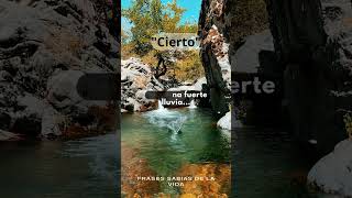 Frases Inspiradoras/Frases bonitas/ Frases positivas #viral #short #frases Frases Inspiradoras/Frases bonitas/ Frases positivas #viral #short #frases