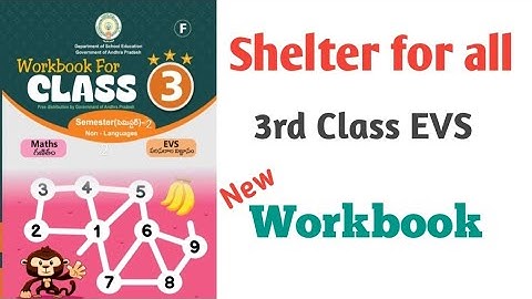 SHELTER FOR ALL 3rd Class EVS workbook//worksheets//