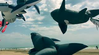 Whale Kites Display Narbonne KiteFestival 2018 screenshot 4