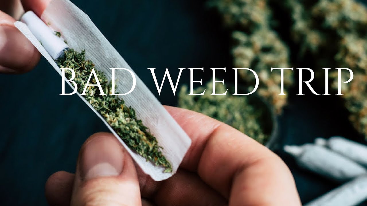 FIRST VIDEO - WEED TRIP STORY