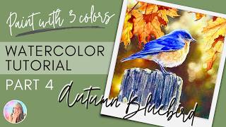 Autumn Watercolor Bluebird Tutorial PART 4