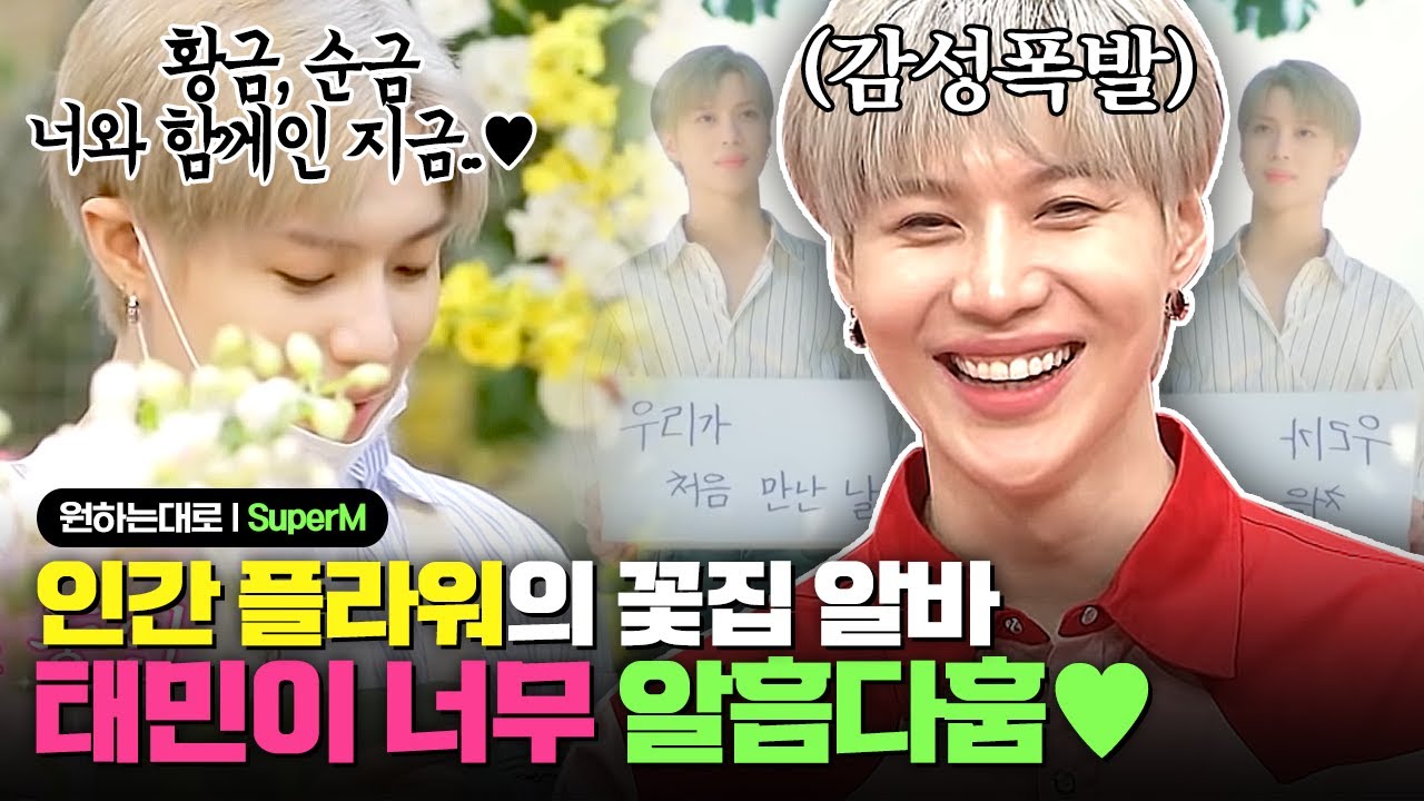 손님 고백에 더 신난 태민(Taemin)의 꽃집 알바기! 스케치북에 이어 꽃의 감성에도 제대로 물든 태민( ੭ ̇ᗜ ̇ )੭ |  #원하는대로 - Youtube