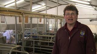 Cross fostering – indoor breeding