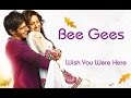 Bee Gees 💘 Wish You Were Here (Tradução)