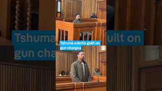 Details British triple murder suspect Ndodana Tshuma pleads guilty to charges in South Africa Update