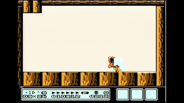 [SMB3] Possibly a """"setup"""" for TAS BC (Subpixel walking after killing boom boom).