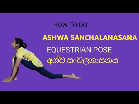 Ashwa sanchalanasana- Equestrian Posture | Prana Yoga