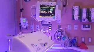 Ottawa Hospital unveils special care nursery The Ottawa Hospital Special Care Nursery