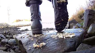 army boots crush cookie