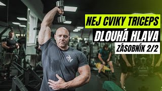 TRICEPS #2 | Zásobník cviků. Zaměření na dlouhou hlavu. Technika, nejlepší cviky a časté chyby.