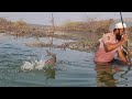 Rohu Fishing|Catching The Rohu Fishes In Krishna River|We Used Rice and Rice polish Powder|Fishing