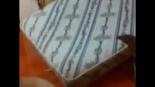 Capture 20141022