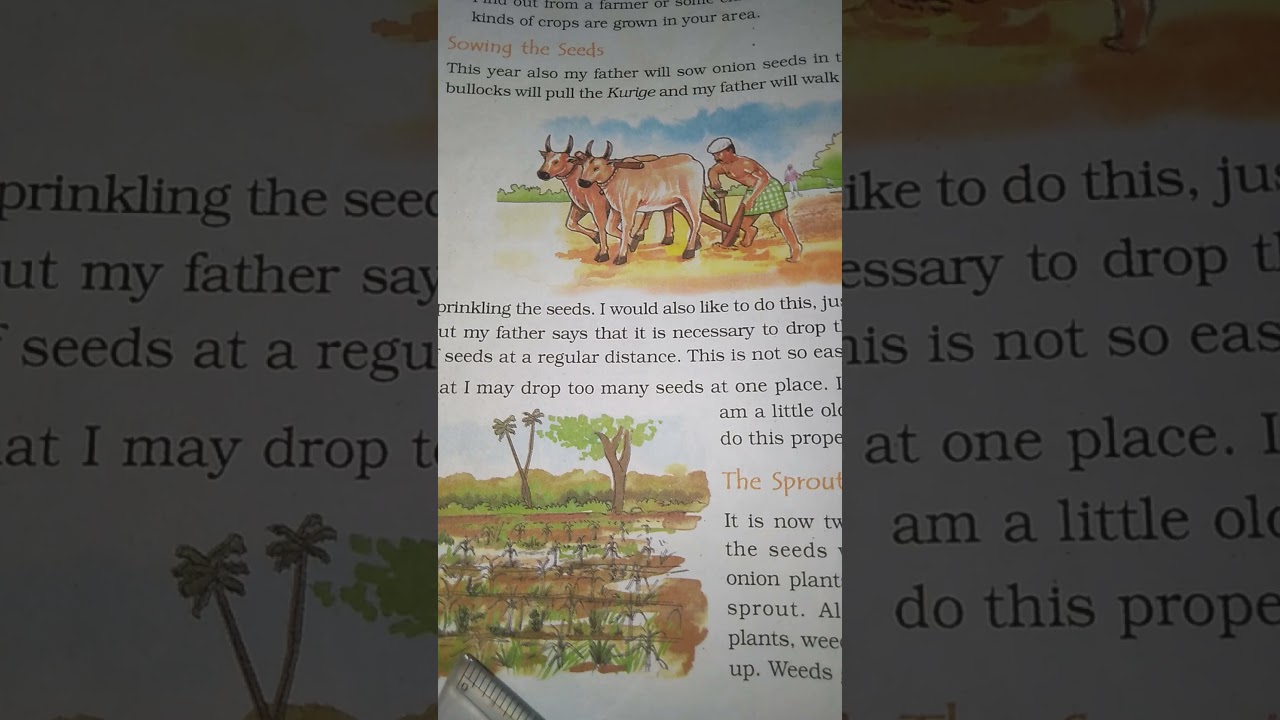 Class IV EVS Chapter- 14 Basva's Farm