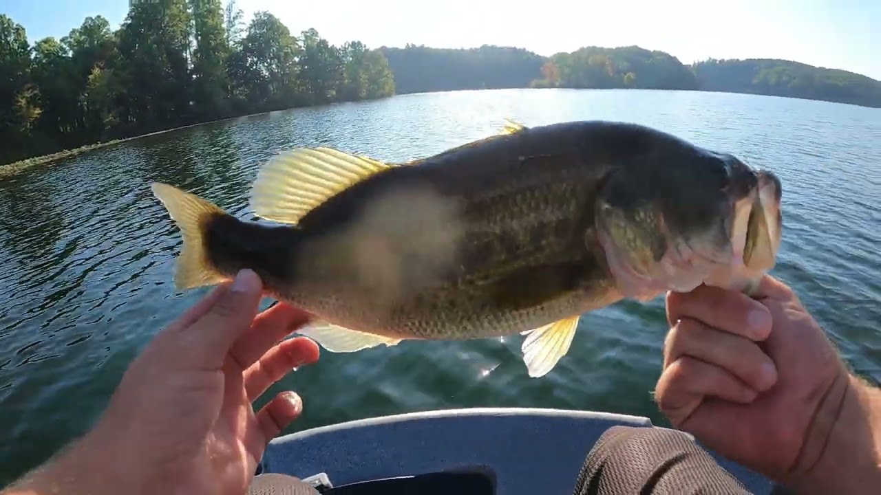 September Bass Fishing 2023