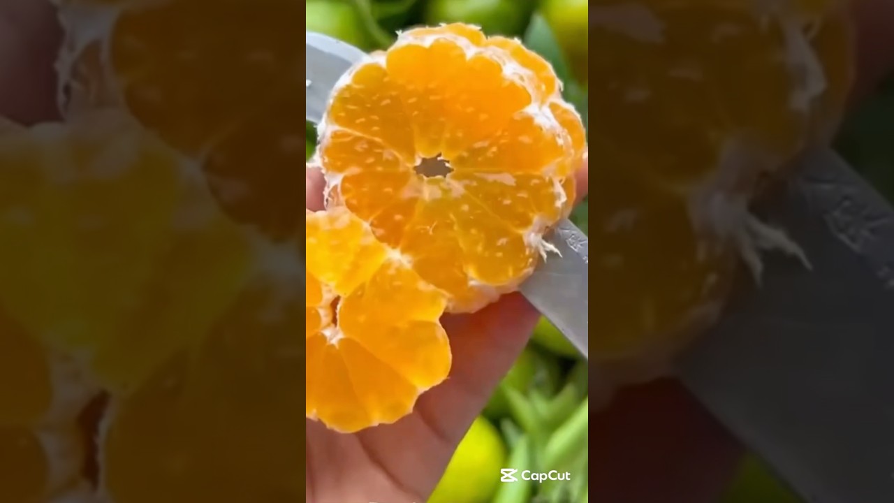 Sweet natural Oranges 
