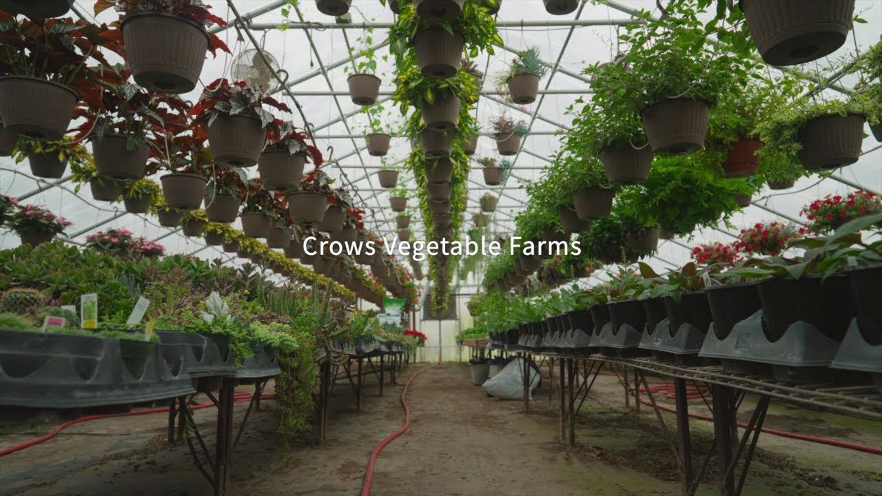 Case Studies in Conservation: Crows Vegetable Farm