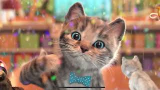 My Favorite Cat Little Kitten Preschool -  Play Fun Cute Kitten Care Games For Kids Children Toddler