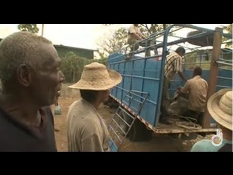 Panama, business in the jungle | Deadliest Journeys