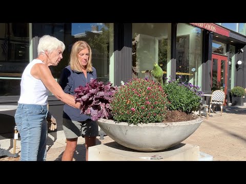 A container competition with my mom? Here we go!