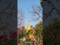 နေချင်စရာကောင်းလှတဲ့ အညာ အခုများတော့ အညာခံရတယ်..  သို့သော် လှပါပေတယ်.. #ShweLelMaung #MobileCreator